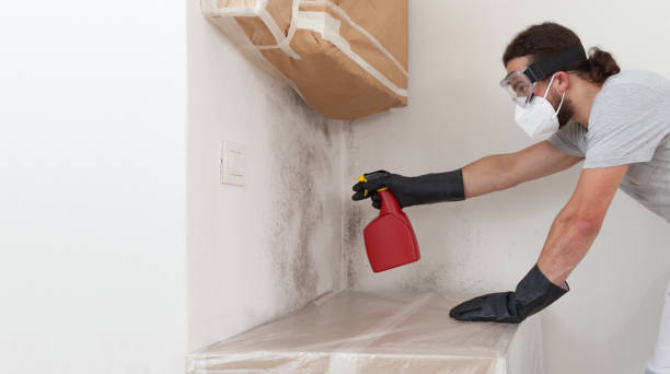 Professional Bathroom Mold Removal technician working in Oakland, MD