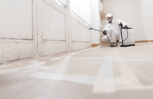 24/7 Emergency Bathroom Mold Removal experts in Oakland, MD