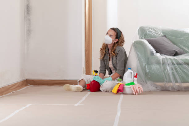 Reliable Bathroom Mold Removal contractor in Oakland, MD by 24 Hour Mold Removal
