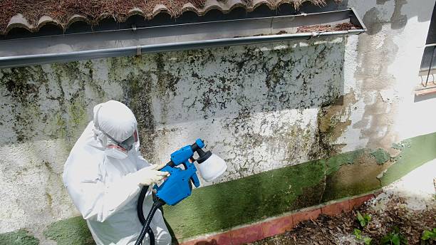 Top rated local Bathroom Mold Removal specialists in Oakland, MD